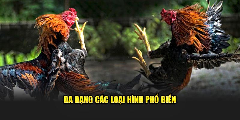 Đa dạng các loại hình hay gặp 