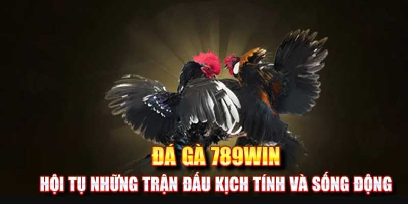 Những ưu điểm khiến đá gà 789win vươn top